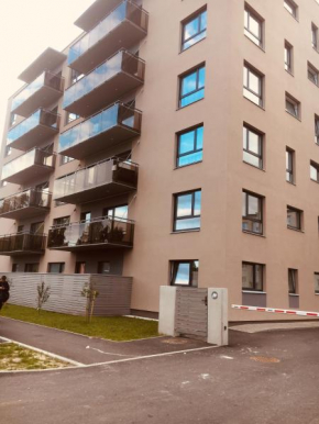 Oja 118 Apartment in Pärnu